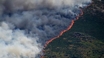 Spain declares national emergency in Madrid region over forest fires