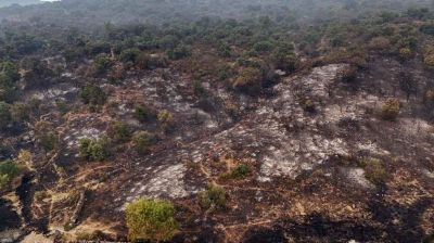 Untamed wildfires force over 160,000 to flee in France, Spain