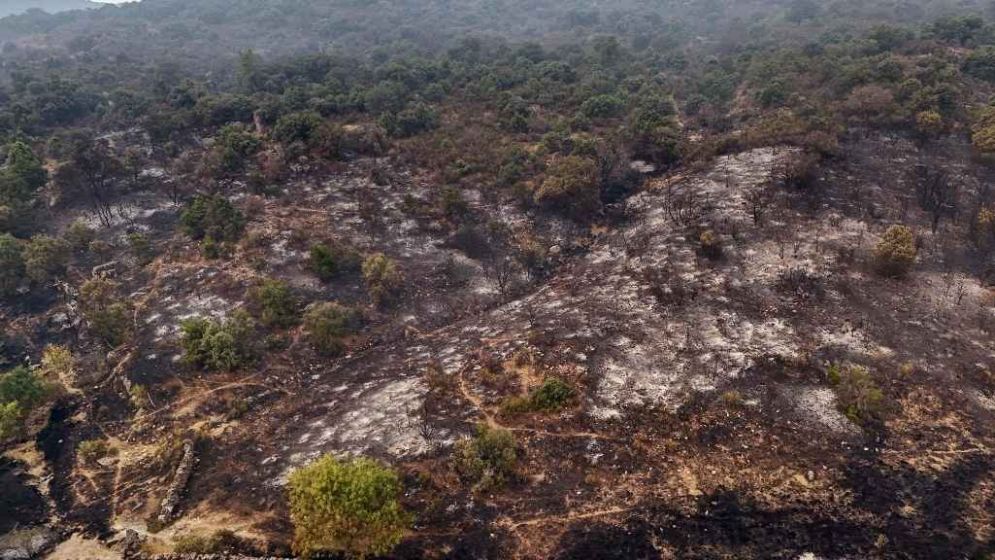 Untamed wildfires force over 160,000 to flee in France, Spain