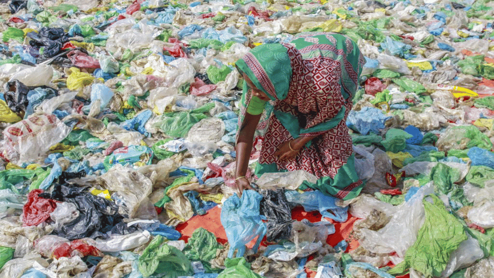 State minister stresses public awareness, strict law enforcement to curb polythene use