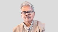 Inclusive Democracy and Orwellian Dilemma