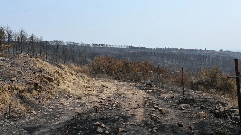 Wildfires rage near Turkey's tourist beaches