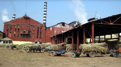 New roadmap to attract investment in 44 closed state-owned factories