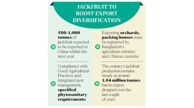 Fresh Bangladeshi jackfruit approved for export to China