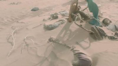 Fourteen Afghan migrants found dead in desert