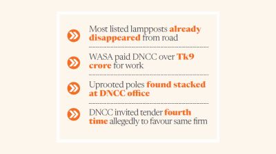 DNCC tender lists 413 lampposts missing from the road