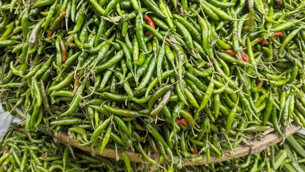 Green chili imports to begin Monday: Agriculture minister
