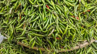 Green chili imports to begin Monday: Agriculture minister