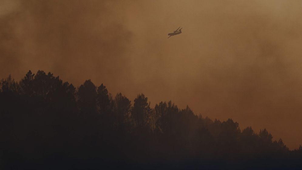 France’s devastating fires now ‘under control’, says PM