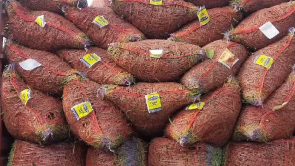Green chilli imports resume thru Hili port after more than 8 months