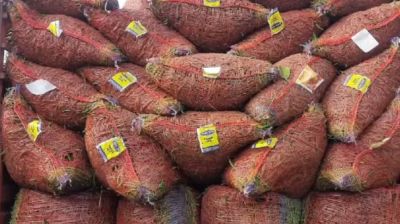 Green chilli imports resume thru Hili port after more than 8 months