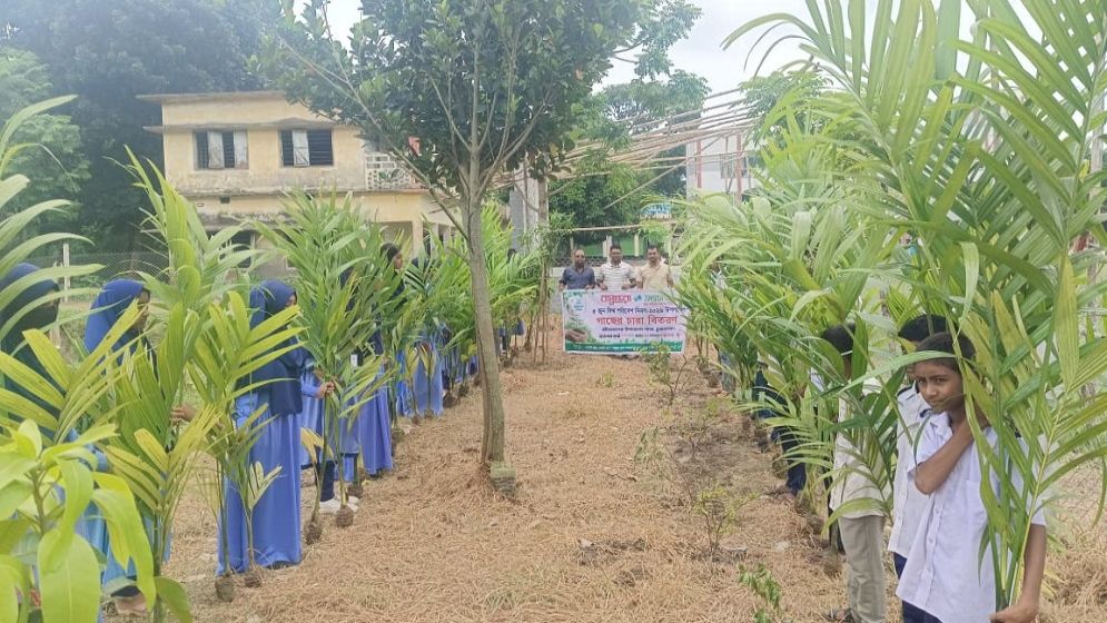 Trees planted, saplings distributed at school in Chuadanga