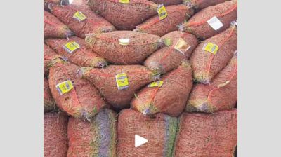 Green chilli imports resume thru Hili port after more than 8 months