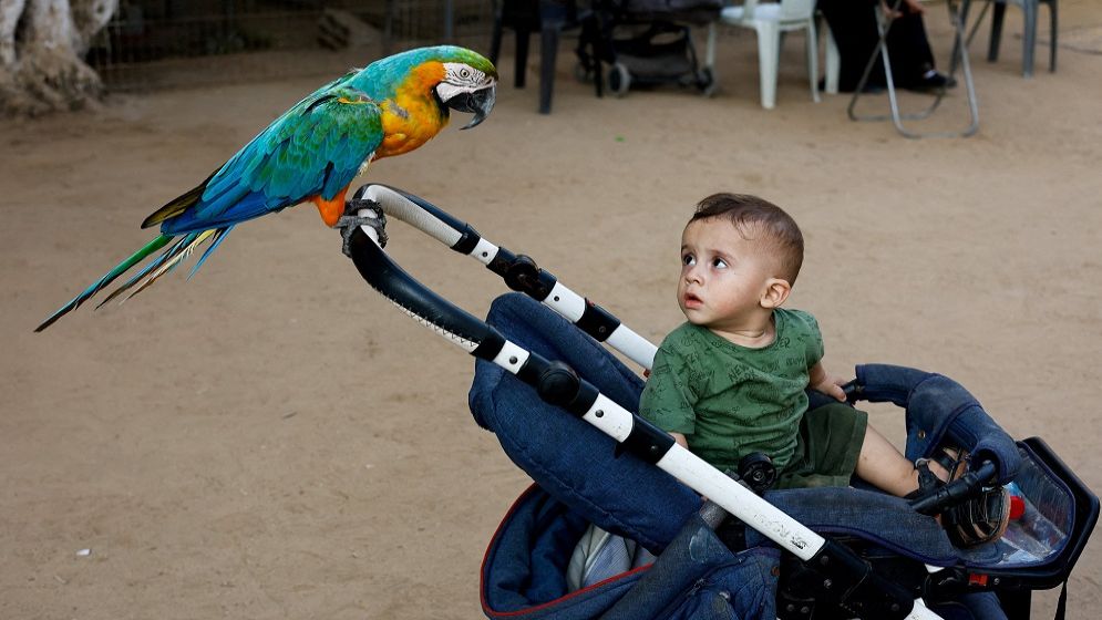 A child killed every day in Gaza since ceasefire: UNICEF