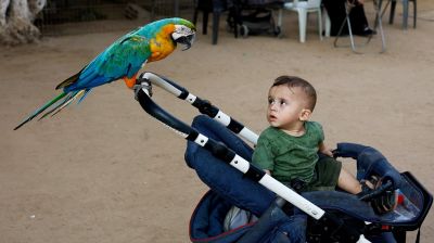 A child killed every day in Gaza since ceasefire: UNICEF