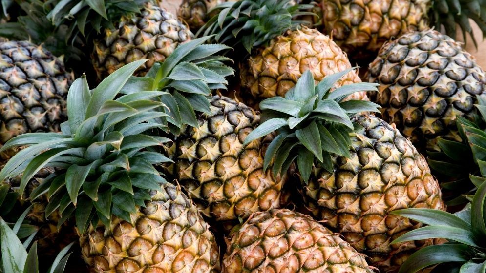 Pakistan gives nod to import of fresh pineapples from Bangladesh