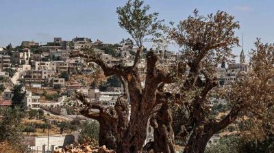 West Bank hardships drive out Palestinian Christians