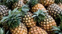 Pakistan gives nod to import of fresh pineapples from Bangladesh