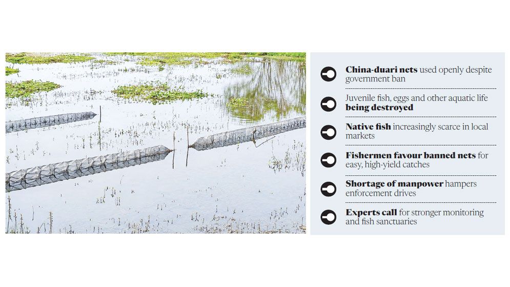 Banned nets threaten native fish, aquatic ecosystem in Madaripur