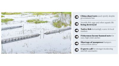 Banned nets threaten native fish, aquatic ecosystem in Madaripur