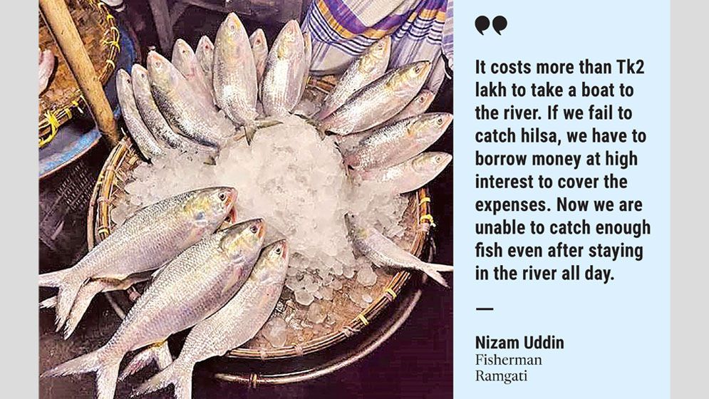 Scarce hilsa spells hardship for Meghna fishermen amid peak season