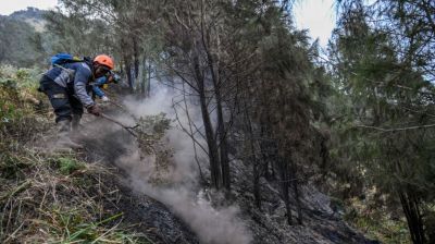 Schools closed as Indonesia battles wildfires