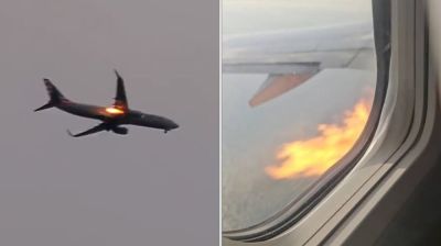 American flight makes emergency landing after suspected bird strike