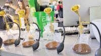 China brews a global coffee ambition