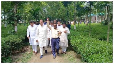 Tea cultivation opens new prospects for Lalmonirhat: Asadul Habib Dulu