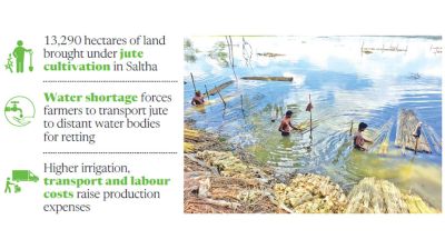 Saltha jute farmers fear poor returns as production costs rise