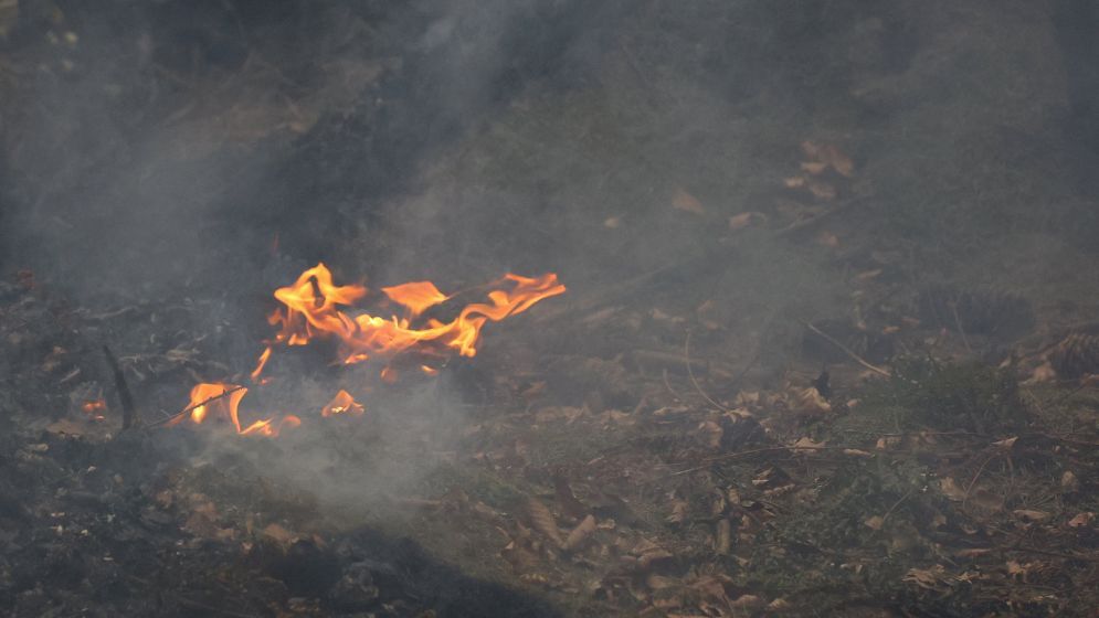 Belgium races to tame huge wildfire creeping towards Germany