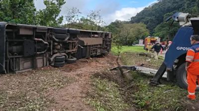 Bus accident leaves eight dead in Brazil