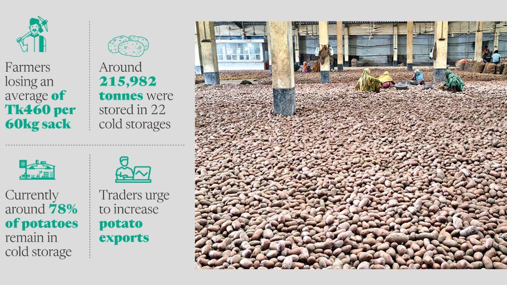 Potato glut leaves Joypurhat farmers, traders counting losses