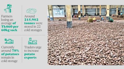 Potato glut leaves Joypurhat farmers, traders counting losses