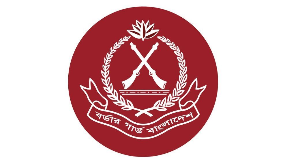 BGB seizes 6.72 lakh yaba tablets in Ukhia border area
