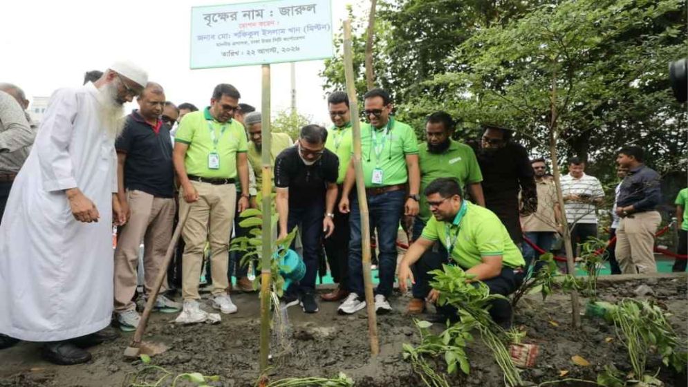 DNCC to plant 5 lakh trees in 5 years, 55,000 already planted: Administrator