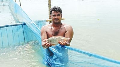Bhabadah basin emerges as fish farming hub in Manirampur