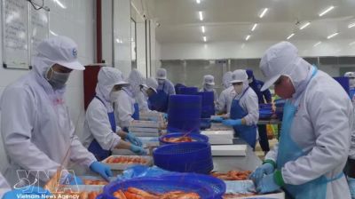 Vietnam’s economy expected to grow 11% in 2027