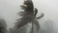 Rain, thundershowers forecast in 17 districts