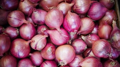 Country to export onions after meeting local demand: Minister