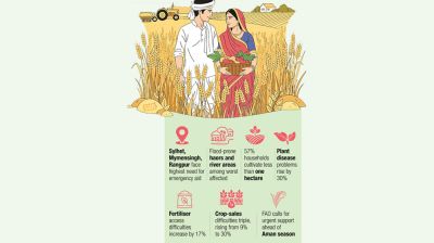 10 lakh farm households need emergency agri aid: FAO