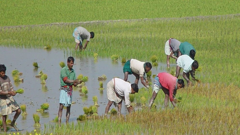 Market-led Farming: A Path to Ensuring Fair Price