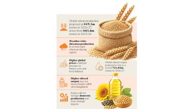 Global crop outlook raises wheat, edible oil concerns for Bangladesh