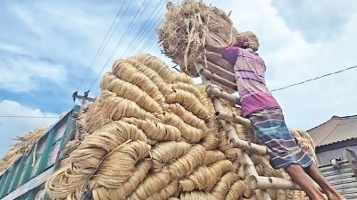 Farmers worry over fair price despite good jute yield in Faridpur