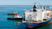 Seven ships carrying fertiliser to arrive this month