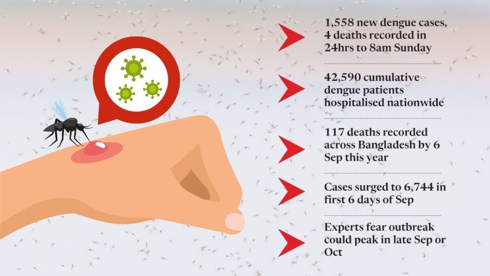 Dengue surge raises alarm