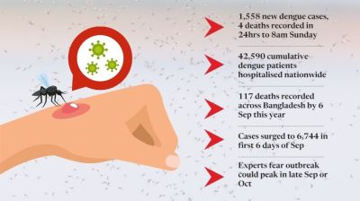 Dengue surge raises alarm