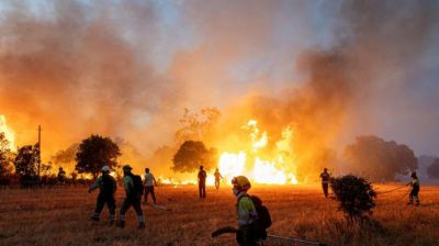 Wildfires, heatwaves endanger air quality, health: UN