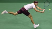 Zverev reaches US Open last 16