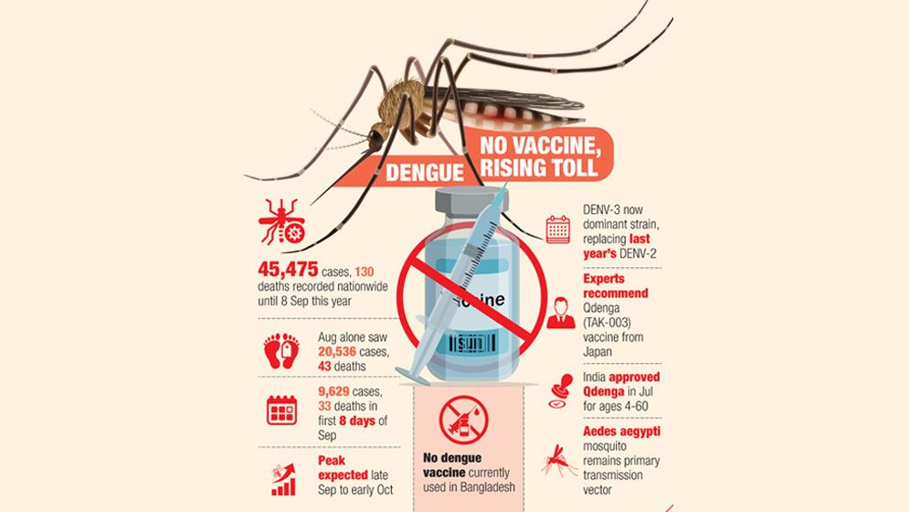 Dengue demands vaccine action